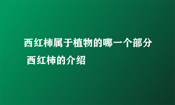 西红柿属于植物的哪一个部分 西红柿的介绍