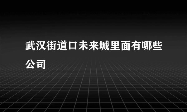 武汉街道口未来城里面有哪些公司