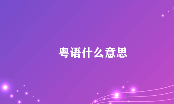 嘢粤语什么意思