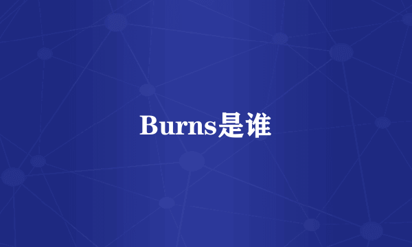 Burns是谁