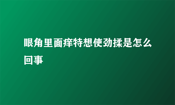 眼角里面痒特想使劲揉是怎么回事