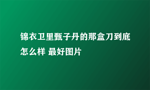 锦衣卫里甄子丹的那盒刀到底怎么样 最好图片