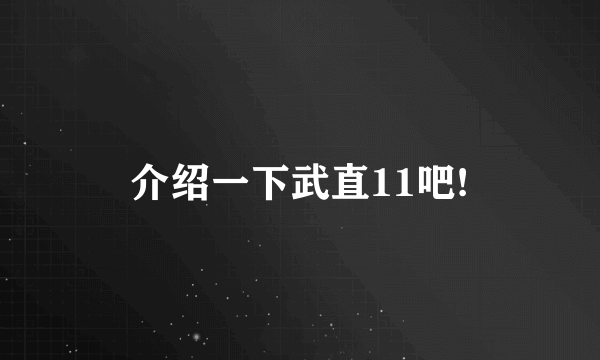 介绍一下武直11吧!