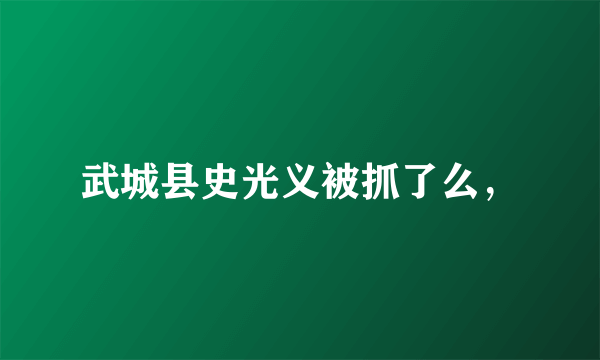 武城县史光义被抓了么，