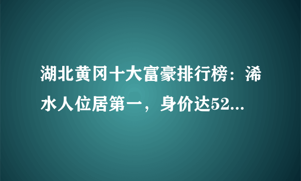 湖北黄冈十大富豪排行榜：浠水人位居第一，身价达528.7亿元