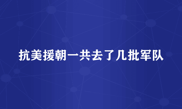 抗美援朝一共去了几批军队