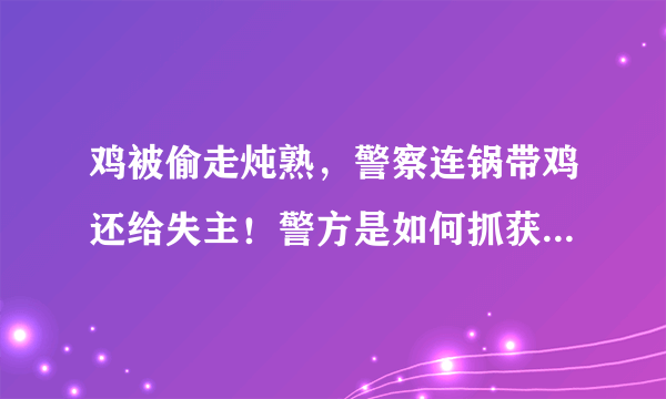 鸡被偷走炖熟，警察连锅带鸡还给失主！警方是如何抓获嫌疑人的？