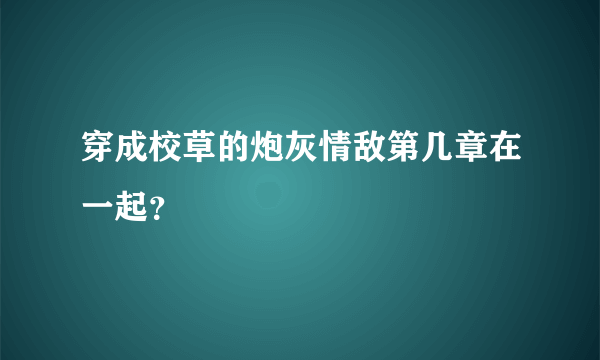 穿成校草的炮灰情敌第几章在一起？