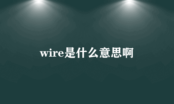 wire是什么意思啊