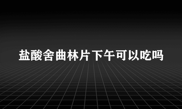 盐酸舍曲林片下午可以吃吗