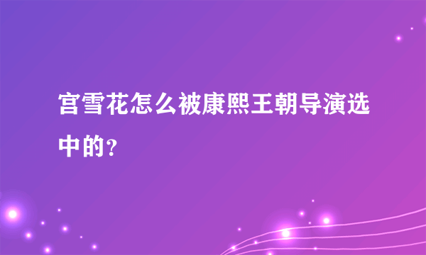 宫雪花怎么被康熙王朝导演选中的？