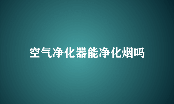 空气净化器能净化烟吗