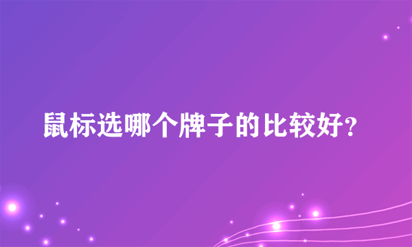 鼠标选哪个牌子的比较好？