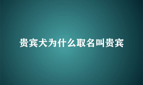 贵宾犬为什么取名叫贵宾