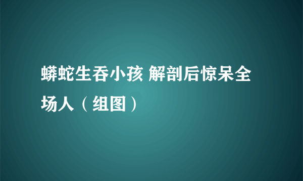 蟒蛇生吞小孩 解剖后惊呆全场人（组图）