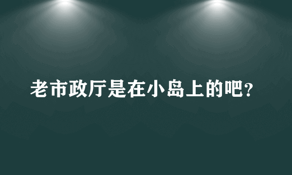 老市政厅是在小岛上的吧？