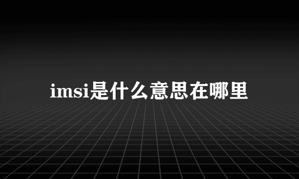 imsi是什么意思在哪里