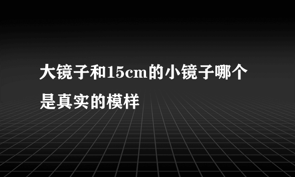 大镜子和15cm的小镜子哪个是真实的模样