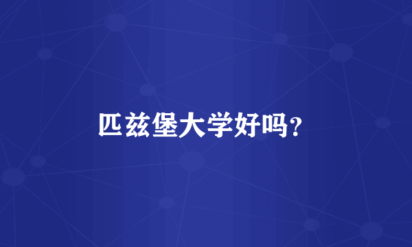 匹兹堡大学好吗？