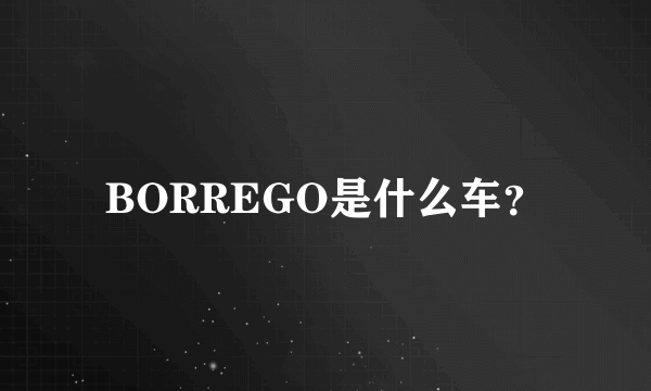 BORREGO是什么车？