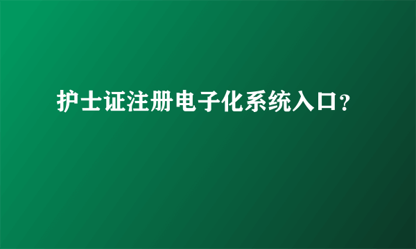 护士证注册电子化系统入口？